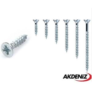 AKDENİZ SUNTA VİDASI 4*60 ÇİNKO 200X16