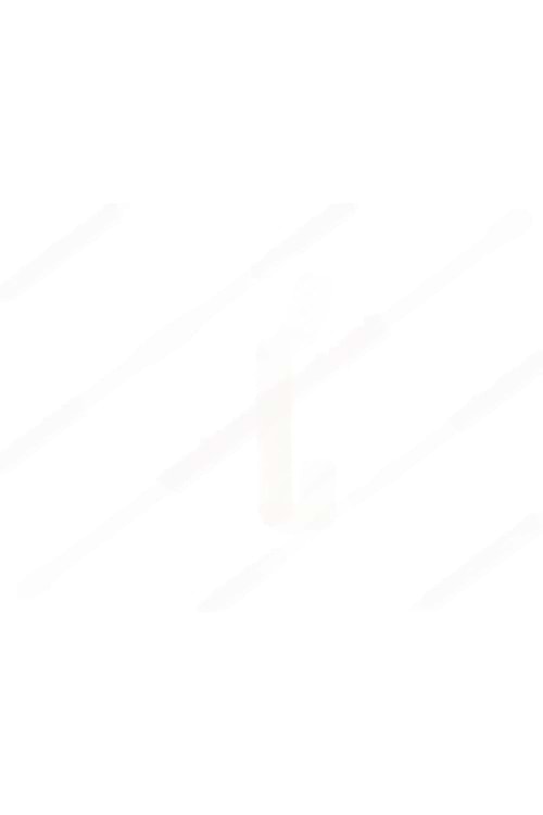 BEŞEL ÇENGEL METAL ASKI SARI